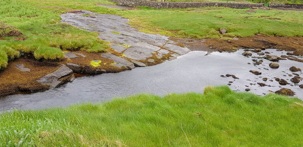 High angle view of stream amidst field