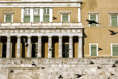 Bird perching on building