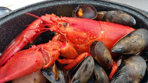 High angle view of seafood in container