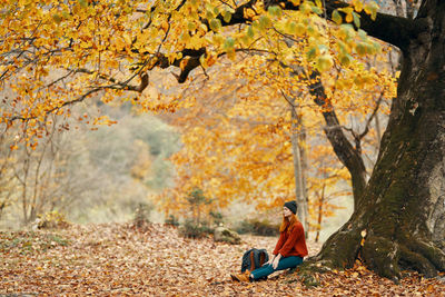 Person sitting on tree trunk during autumn