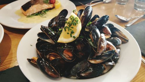 Close-up of mussels served in plate