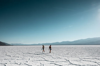 Friends on shore against clear sky