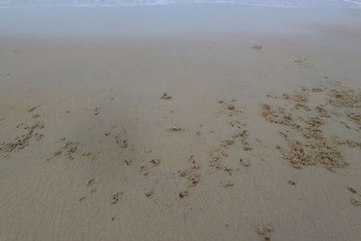 High angle view of beach