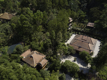 High angle view of houses amidst trees and plants in forest