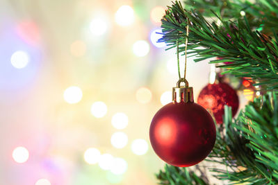Close-up of illuminated christmas tree