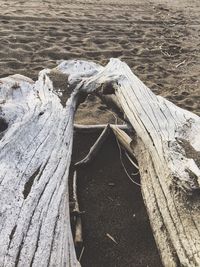 Close-up of wood on beach