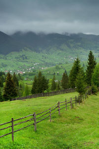 Scenic view of grassy field against cloudy sky