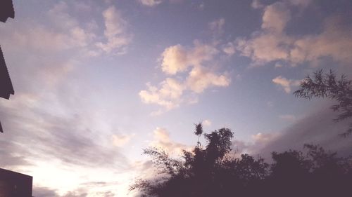 Low angle view of silhouette trees against sky