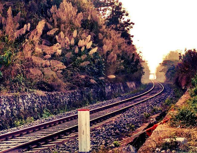 railroad track, rail transportation, transportation, public transportation, tree, the way forward, railway track, diminishing perspective, vanishing point, travel, nature, sky, tranquility, railroad station platform, clear sky, day, outdoors, no people, railroad station, high angle view