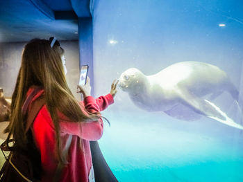 Side view of woman photographing seal in aquarium