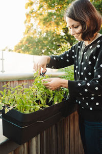 Midsection of woman holding and cutting basil leaves from a balcony planter