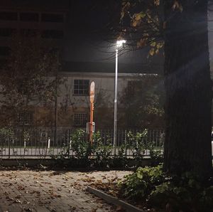 Street light in park at night