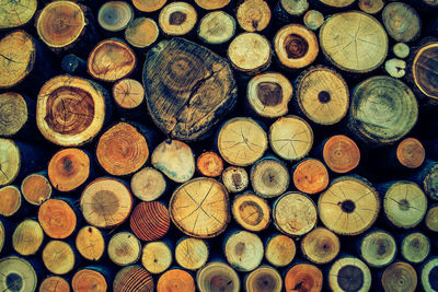 Full frame shot of logs in forest