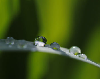 Extreme close-up of dew drops on grass