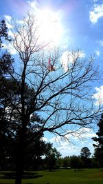 Scenic view of grassy field against cloudy sky
