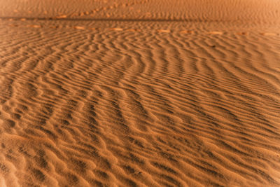 Full frame shot of sand dune