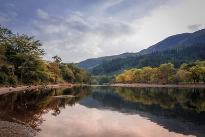 Scenic view of lake by trees against sky