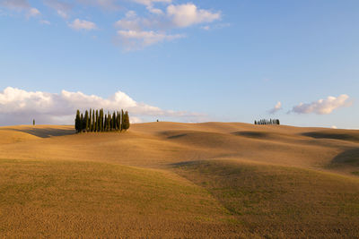 Panoramic view of landscape against sky