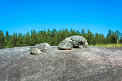 Rocks by trees against clear blue sky