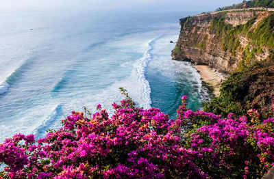 Seascape, ocean at sunset. flowers on ocean landscape background near uluwatu temple at sunset, bali