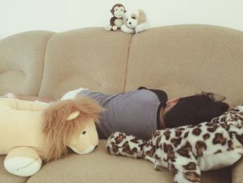Close-up of dog sleeping on sofa