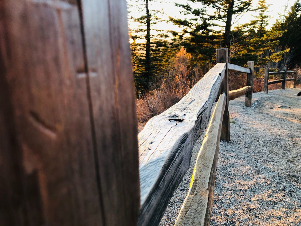 wood - material, tree, no people, day, selective focus, nature, outdoors, plant, railing, close-up, built structure, barrier, metal, boundary, fence, sunlight, architecture, footpath, transportation, wood