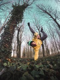 Man practicing handstand against bare trees in forest