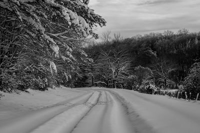 Snow covered road amidst trees against sky