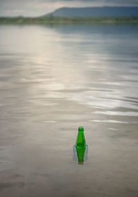 Green leaf floating on water