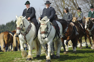 Group of people riding horses on field