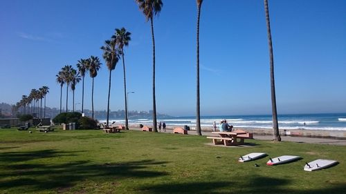 sea