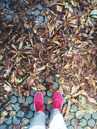 Low section of person standing by fallen dry leaves
