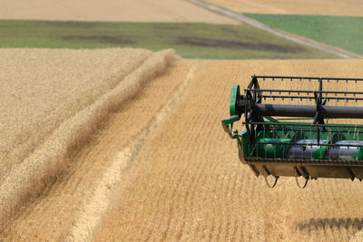 Harvest time - view of wheat field