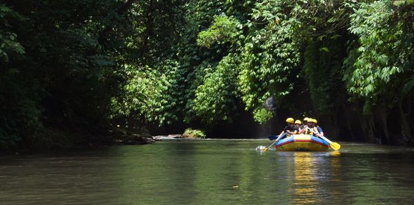 River in forest