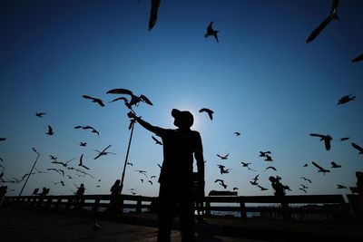 Silhouette man with seagulls flying against sky
