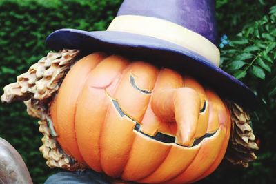 Close up of plant against blurred background