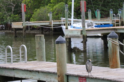 Pier on wooden post in river