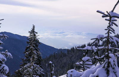 Scenic view of snow covered mountains against sky