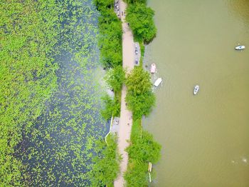 High angle view of plants by lake