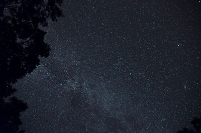 Low angle view of star field against star field