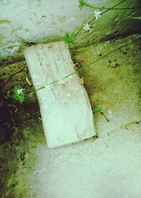 Close-up high angle view of road