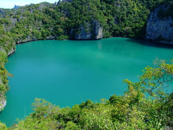 Scenic view of lake against trees in forest