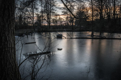 Scenic view of lake against bare trees