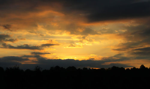 Silhouette of trees at sunset