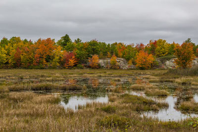 Scenic view of lake against sky during autumn