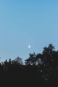 Low angle view of trees against clear blue sky