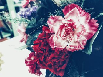 Close-up of pink rose flower in vase