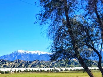 Scenic view of landscape against clear blue sky