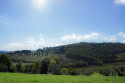 Scenic view of green landscape against blue sky