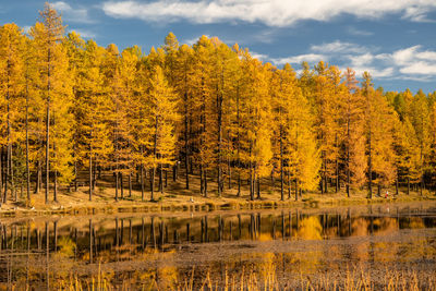 Autumn colors and lake reflection